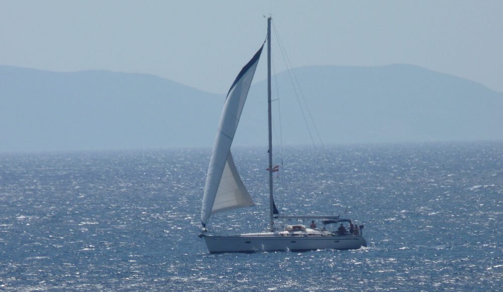                                                                           Verba volant, scripta manent ? ……